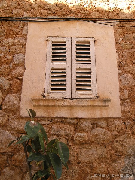 2006_11_19 13_57_00 OLYMPUS DIGITAL CAMERA         